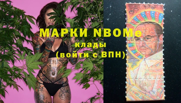 ECSTASY Алзамай