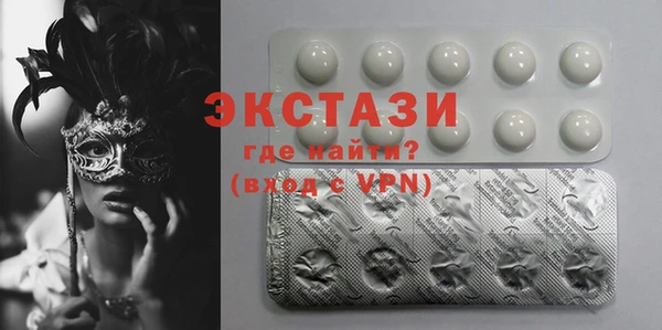 индика Осташков