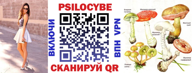 Псилоцибиновые грибы Cubensis где купить наркотик KRAKEN ТОР Златоуст